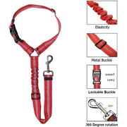 Harnais ceinture de sécurité