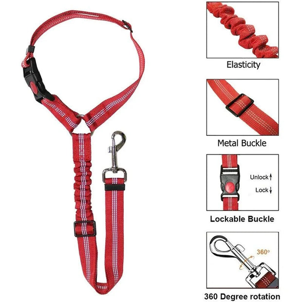 Harnais ceinture de sécurité