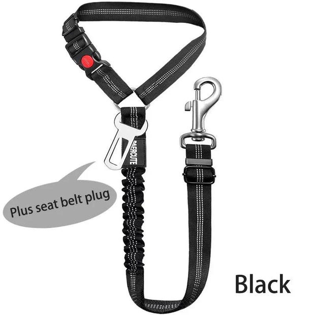 Harnais ceinture de sécurité