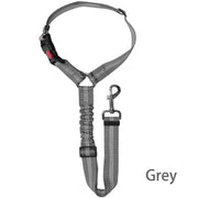 Harnais ceinture de sécurité