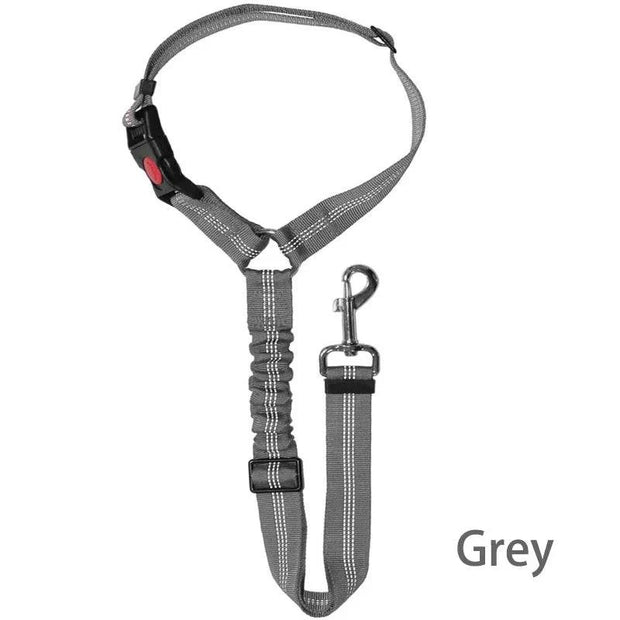 Harnais ceinture de sécurité