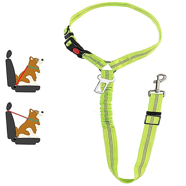 Harnais ceinture de sécurité