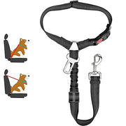 Harnais ceinture de sécurité