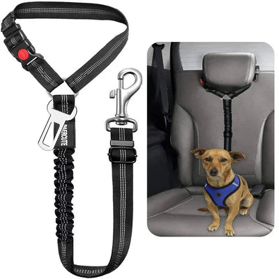 Harnais ceinture de sécurité