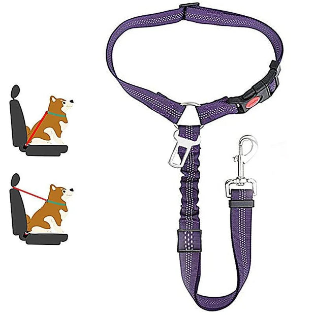 Harnais ceinture de sécurité