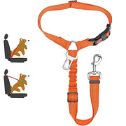 Harnais ceinture de sécurité