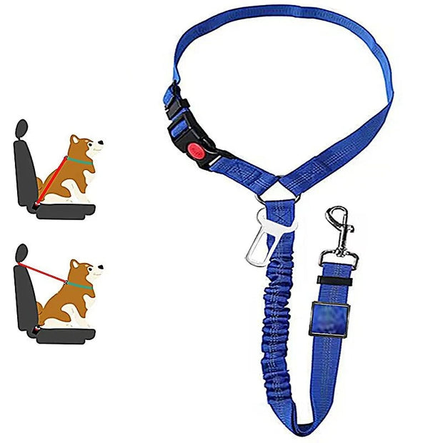 Harnais ceinture de sécurité